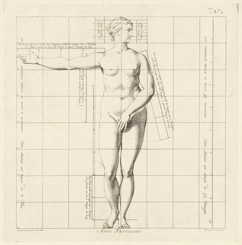 Proportional study of a woman’s body