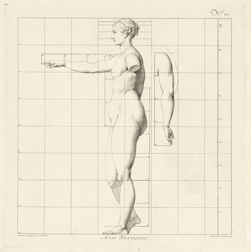 Proportional study of a woman’s body