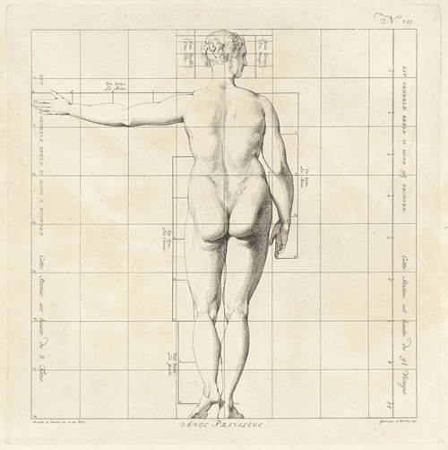 Proportional study of a woman’s body