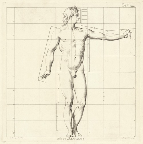 Proportional study of the body of Apollo Belvedere