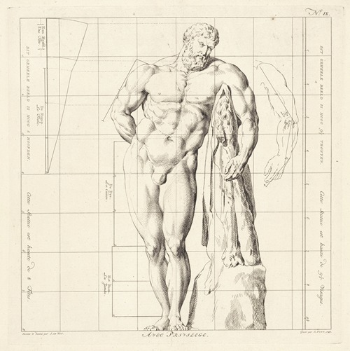 Proportional study of the body of Hercules Farnese