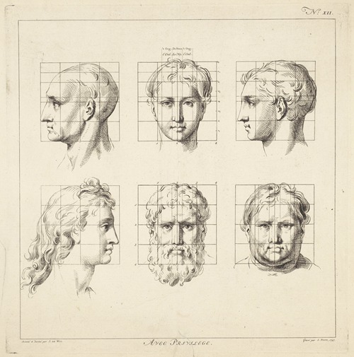 Proportional studies of male heads
