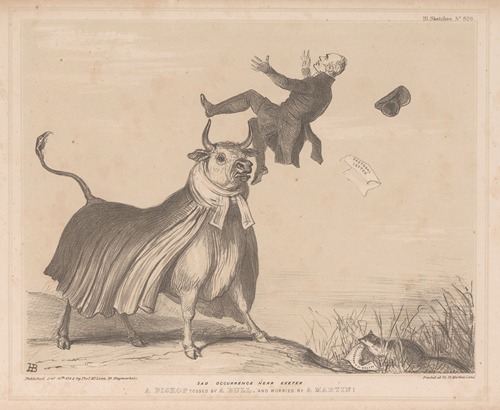 Sad occurence near Exeter. A bishop tossed by a bull, and worried by a martin!