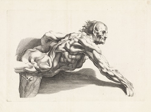 Anatomical study of a man leaning forward
