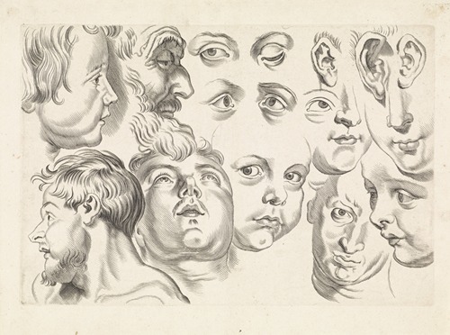 Studies of faces, eyes and ears