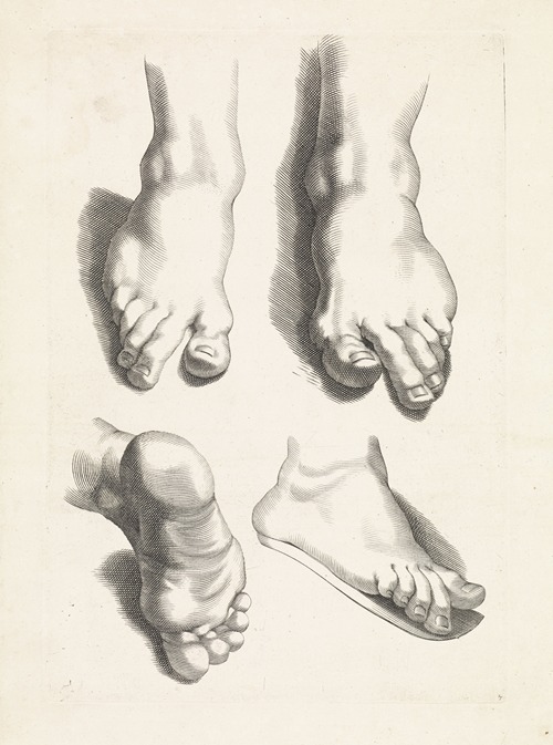 Studies of feet