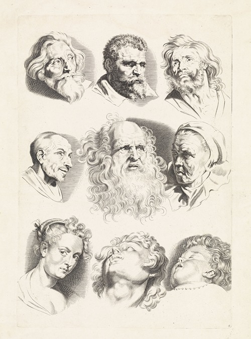 Studies of Nine Heads