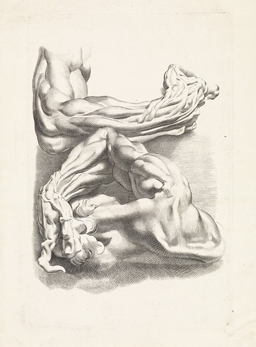 Two anatomical studies of arms.