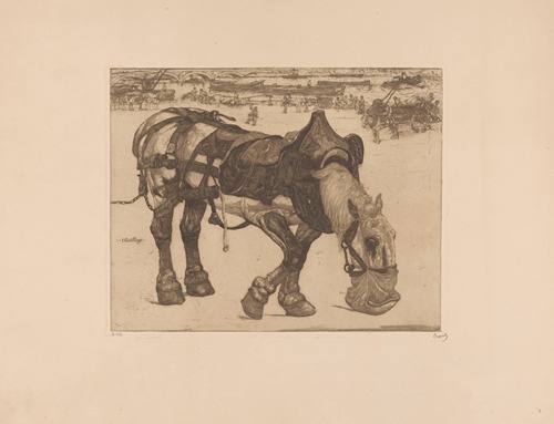 Etend ploegpaard