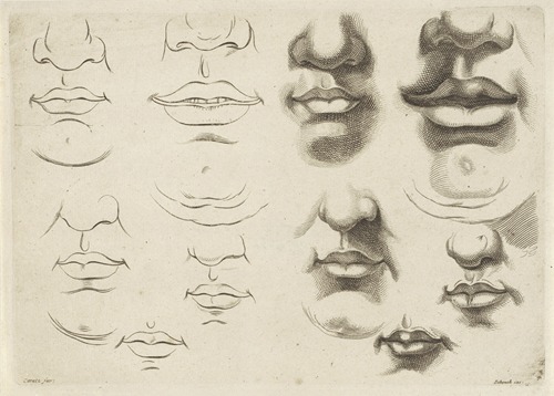 Study of various mouths