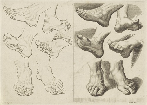 Study of various feet