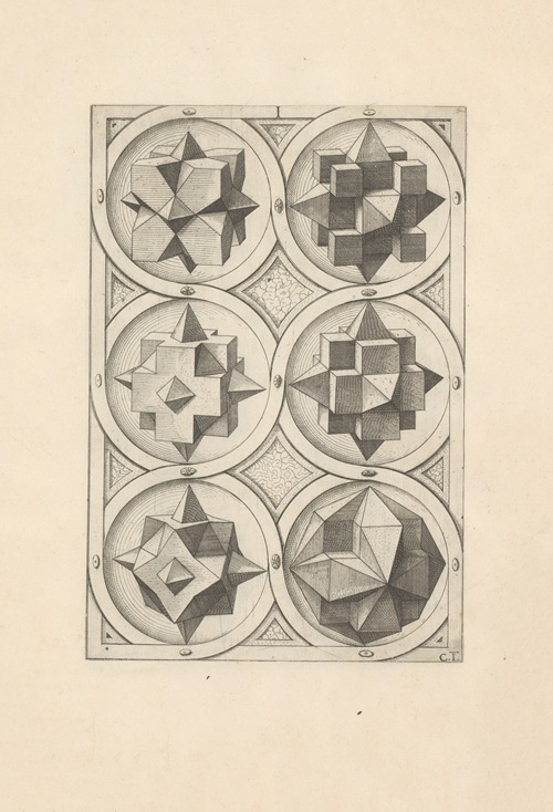Perspectiva Corporum Regularium (Perspective of regular solids) Pl.12