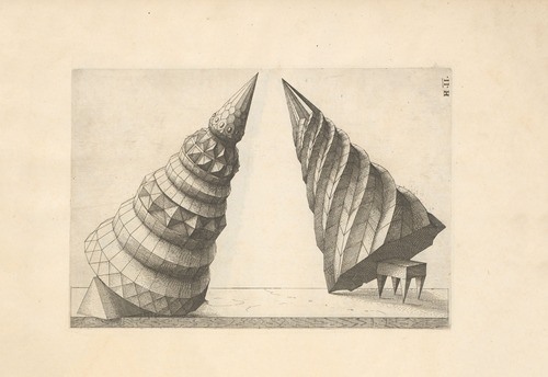 Perspectiva Corporum Regularium (Perspective of regular solids) Pl.38