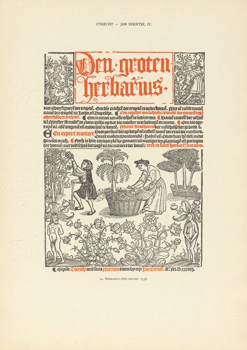 L’art typographique dans les Pays-Bas pendant les années 1500 à 1540 Pl.120