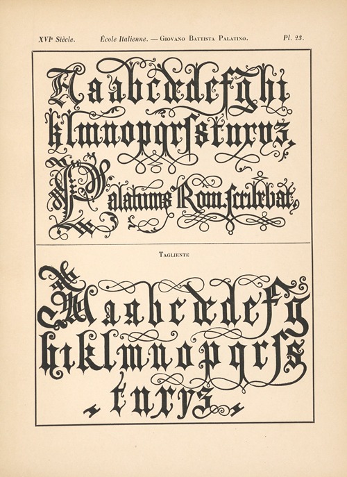 École‎ ‎Italienne – Giovano‎ ‎Battista‎ ‎Palatino – Alphabet‎ ‎gothique,‎ ‎mineur‎