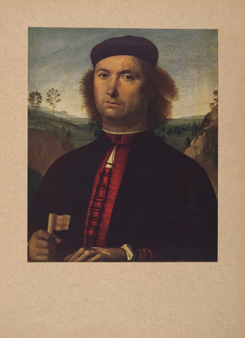 Perugino, Ritratto di Francesco delle Opere
