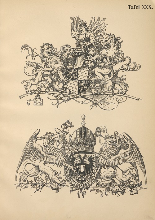 Heraldischer Handbuch fur Freunde der Wappenkunst Pl.29
