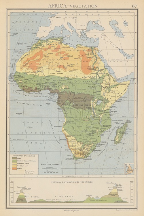Africa, Vegetation