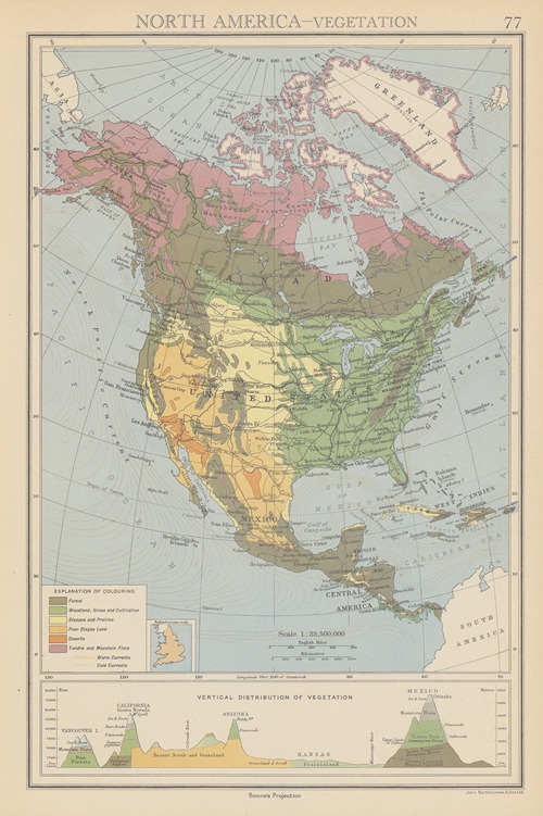 North America, Vegetation