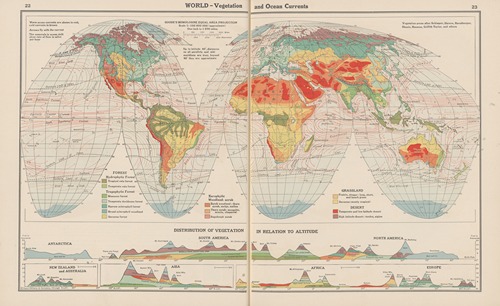 World — Vegetation and Ocean Currents.