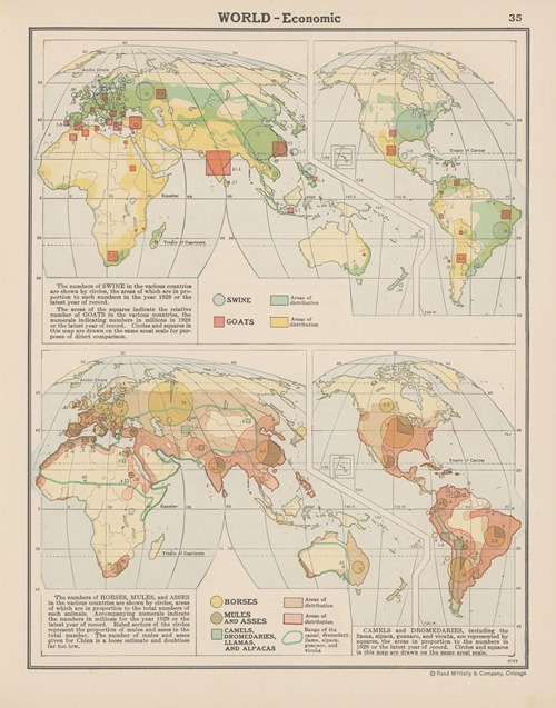 World Economic, Swine, Goats, Horses, Mules, Asses and Camels