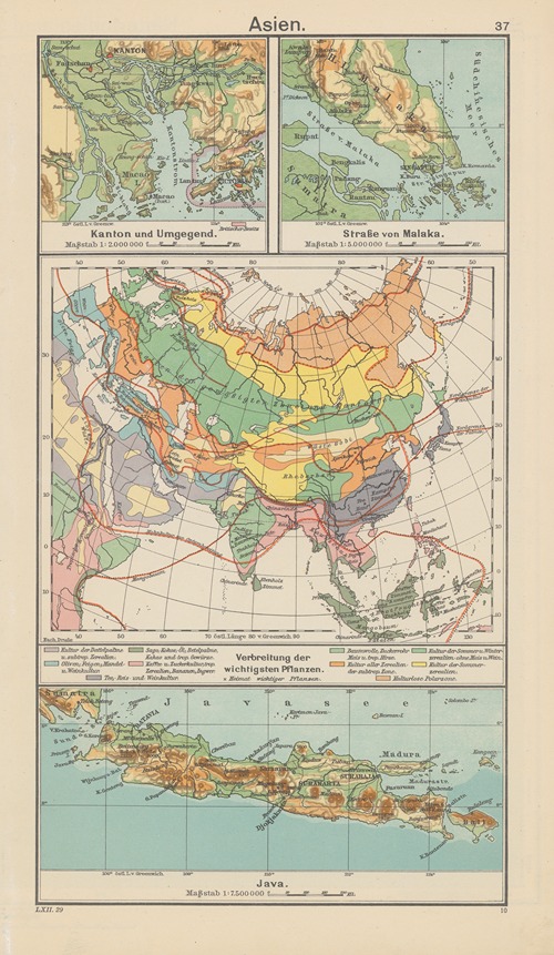 Asien; Verbreitung‎ ‎der‎ ‎wichtigsten‎ ‎Pflanzen