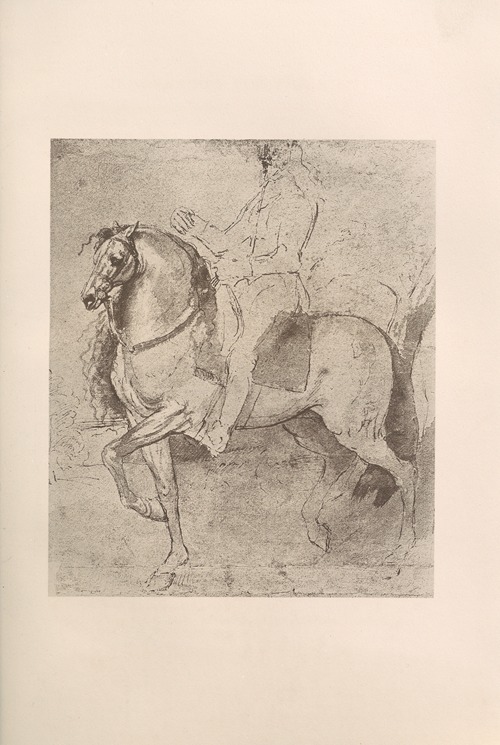 Study For The Portrait of Charles I