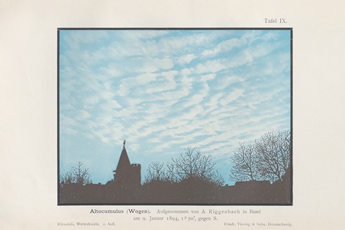 Altocumulus