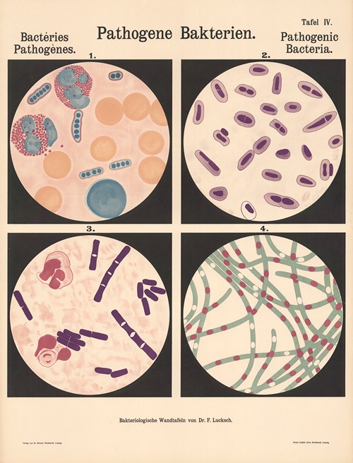 Pathogenic Material Pathogenic Bacteria - Artvee