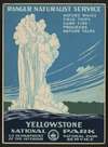 Yellowstone National Park, Ranger Naturalist Service