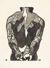Anatomische studie van de rugspieren van een man
