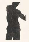 Anatomische studie van de rug- en bilspieren van een man in silhouet