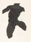 Anatomische studie van de nek-, buik- en bovenbeenspieren van een man in silhouet