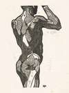 Anatomische studie van de rug- en bilspieren van een man