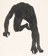 Anatomische studie van de hals-, arm- en beenspieren van een man in silhouet