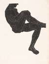 Anatomische studie van de been- en armspieren van een man in silhouet