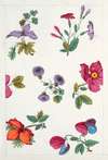 Floral design for printed textile Pl XII