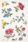 Floral design for printed textile Pl XIII