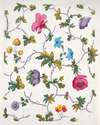Floral design for printed textile Pl XXII