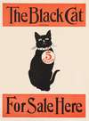 The black cat for sale here