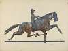 Horse and Rider Weather Vane