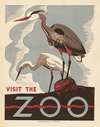 Visit the zoo