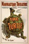 The turtle