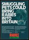 Smuggling pets could bring rabies into Britain