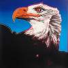 Bald Eagle, from Endangered Species