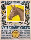 Are you fond of horses – U.S. Army – The Veterinary Corps instructs you in their care and treatment, riding and driving