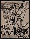 Stop the terror in Chile