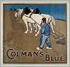 Colman’s blue