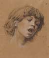 Head of a Boy Singing (Study for Music)