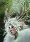 Forest Spirit